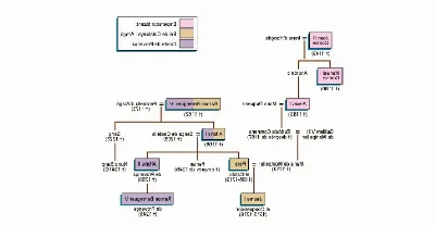 Com fer servir Internet per fer recerca genealògica