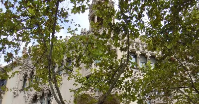 Descobrint els Lleó