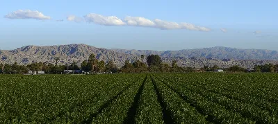 Cognoms relacionats amb el món agrícola a la Plana de Vic